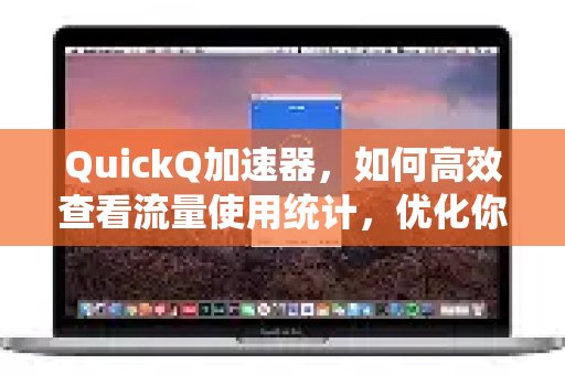 体验 QuickQ 加速，畅享极速网络。使用指南：高效查看流量统计，助您提升网络体验。